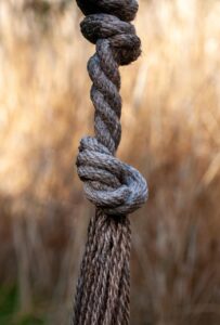 LINEで懐かしい写真を共有しながら復縁の会話をする方法は？