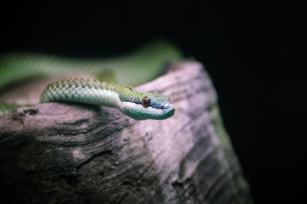 距離感の測り方で失敗しないためのポイントは？