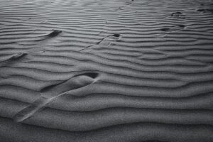 ラインの足跡とは何を意味するのか？