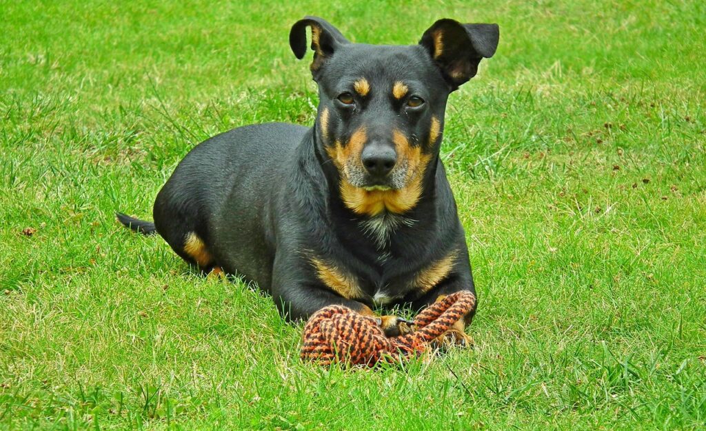 語尾に「ね」をつける心理とはどんなもの？