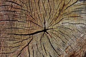 緊張すると言われた時の効果的な返し方は？