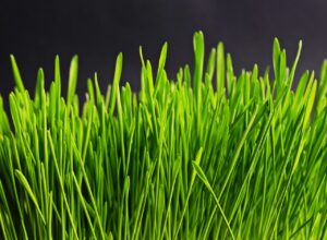 復縁した男性と会った後の連絡頻度はどれくらいが自然？