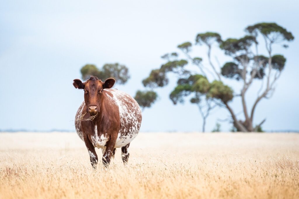 復縁を望む男が冷却期間中に既読無視された時の受け止め方は？