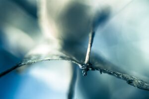 復縁を望む男が音信不通で終わった理由を理解できないのはなぜ？