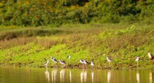 復縁を考える男がダイエット中にイライラして元カノに当たりたくない時の対処法は？