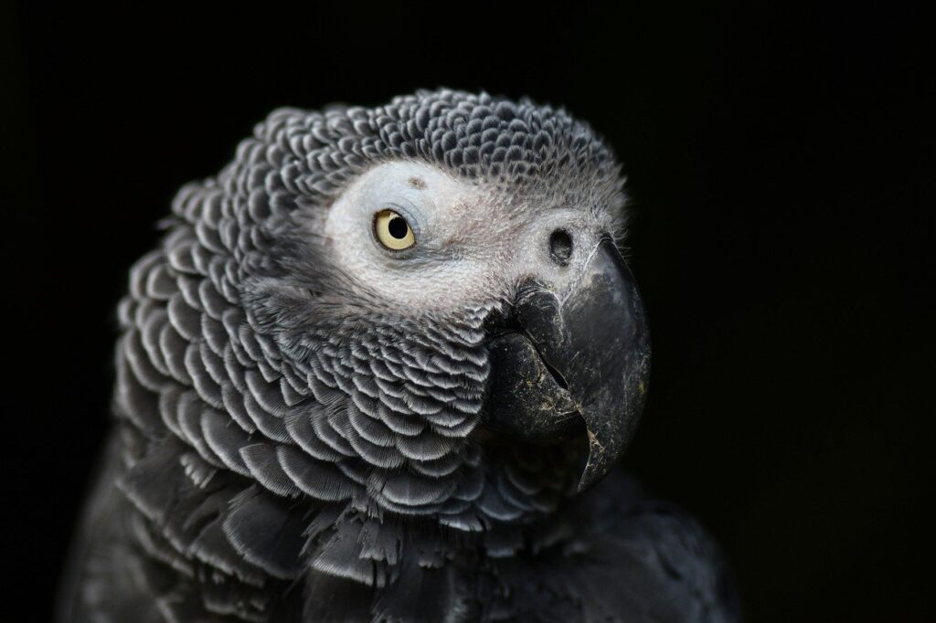 LINEプロフィールの足跡はどう確認する？