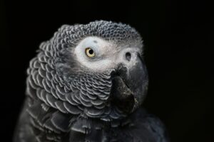 LINEプロフィールの足跡はどう確認する？