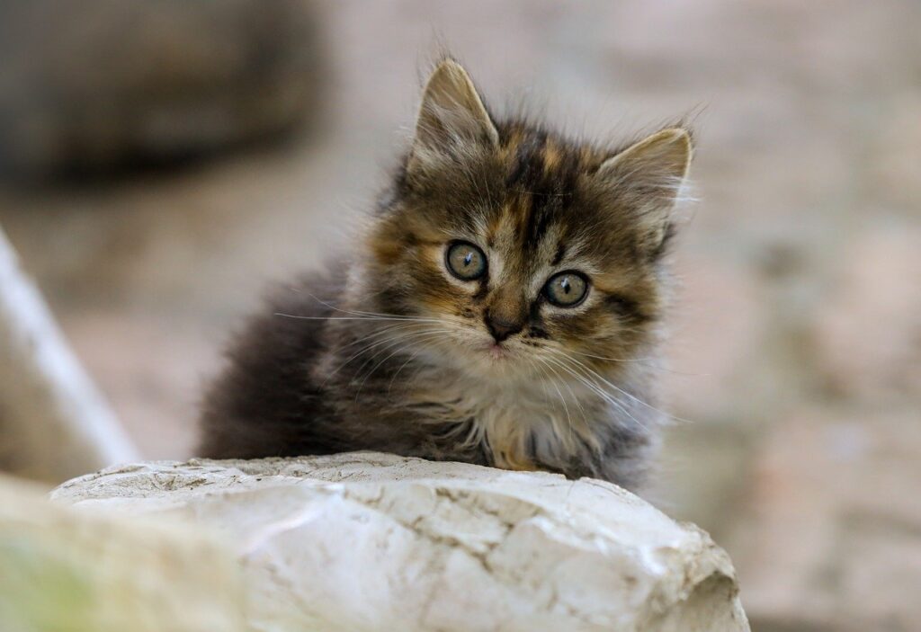 復縁したい男性必見！二回目デートの間隔は何日が良い？