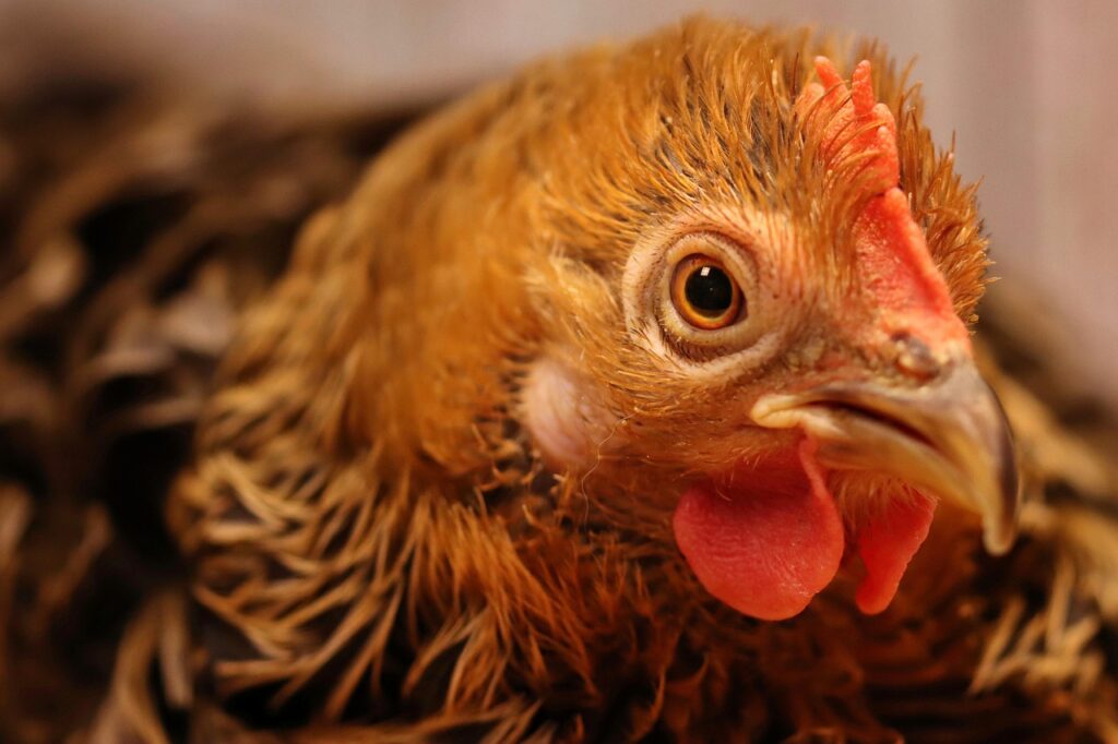 復縁を望む男が連絡再開してすぐ誘わない理由とは？