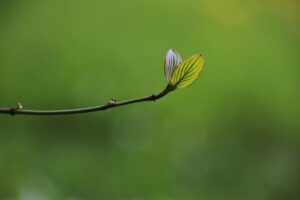 復縁を望む男性が成長アピールを伝える言い方とは？